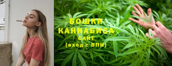 2c-b Белокуриха